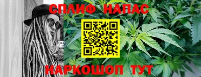 шишки Берёзовский