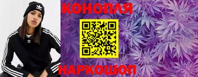 шишки Берёзовский